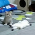 ihlu さんのアバター