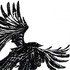 Awatar dla BlackRaven_crow