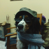 Avatar for dogswithguitars