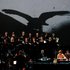 Avatar di Sigur Rós & Hilmar Örn Hilmarsson