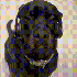 Avatar für aprilandaflower
