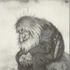 Avatar for amputas