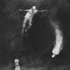 Avatar di a54635