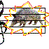 ArmadilloDeSol 的头像