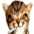Avatar for goo_goobie