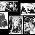 Awatar dla X-Japan feat. Luna Sea feat. D'espairsRay feat. MUCC feat. T.M Revolution