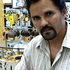 Avatar for xilogravura