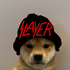 Avatar for GuitarShredLord