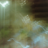 Avatar for sesdqlmec