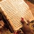 Rigveda 的头像