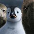 Avatar für Elephant Seal Chorus