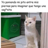 pollasexo1000 的头像