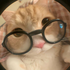 Avatar for juleszn