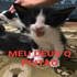 Avatar for azeroy1616