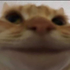 LSNMCLNTL 的头像