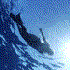 Avatar für oceanpixel