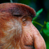 Avatar für wojtesz