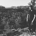 Аватар для Scale & Feather
