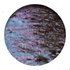 Avatar for fingerbib