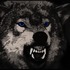 Avatar for WOLFICKI