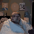 Avatar für locatefarmm