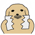 Avatar for melonoshii