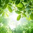 Soothing Relaxation 的头像
