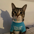 donmeetsapig için avatar