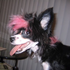 Avatar for gratisCoconut