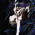 Avatar for helleboreandyew