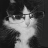 Avatar for Wtf_s0phie