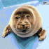 Avatar for wooloos