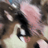 Avatar für Tw3rkOnMe