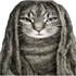 Avatar for kasaii0131