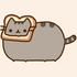 bray_pusheen さんのアバター