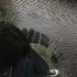 Эклипс 的头像