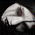 Avatar de x3-