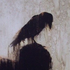 Avatar for Sunkta
