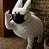 Avatar for Idk_npc