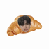 Avatar for honeymma