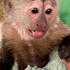 Avatar for macystrelecki
