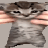 Avatar for Juazjuaz777