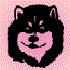 Avatar for beardcom