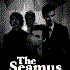 Avatar for The Seamus