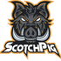 Avatar for scotchpig