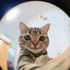 Avatar for cxldyy