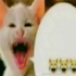Avatar for Purrorican