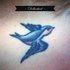 Avatar de Dollarbird