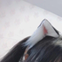 lolioid 的头像