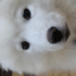 Avatar for geheimnis_z